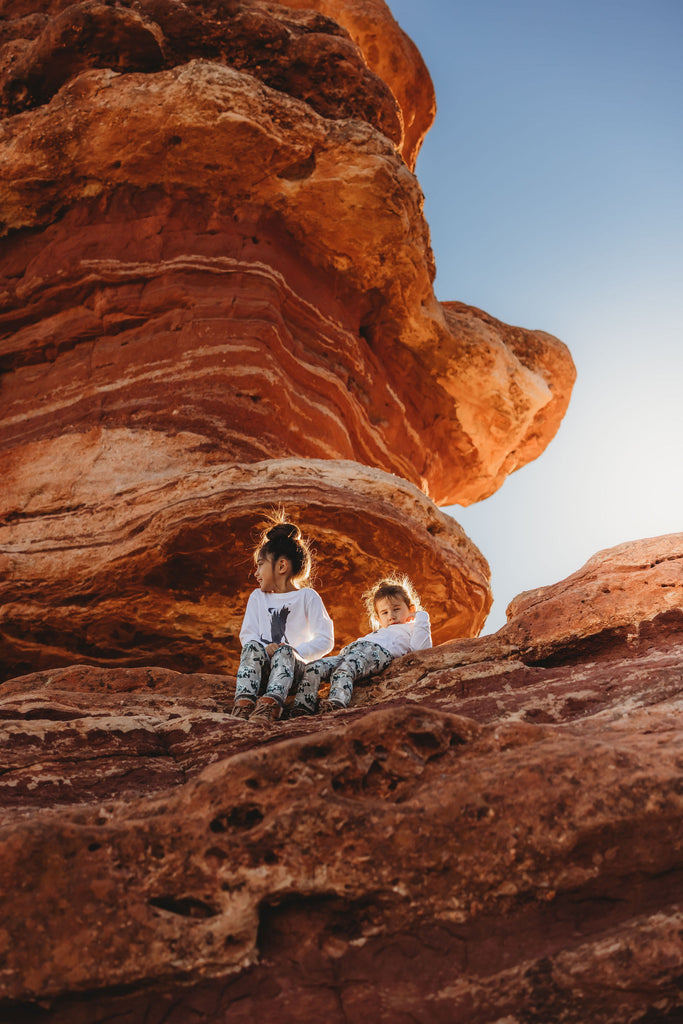 Call of the Wild |  Toddler Tee