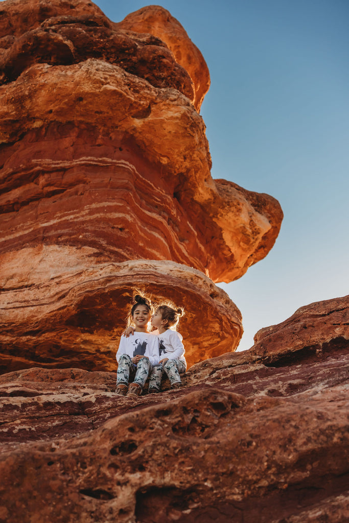 Call of the Wild   |  Adventure Leggings