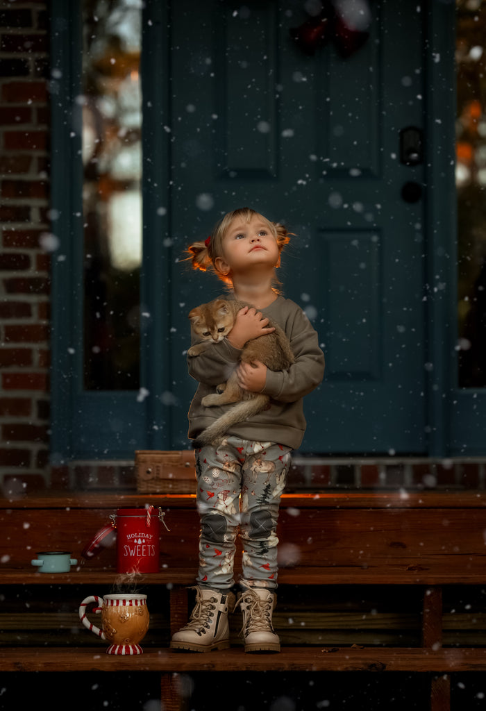 Gnome for Holidays | Driftwood Sweatshirt